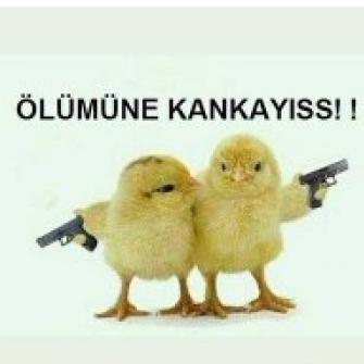 Sevgilinle Yazışman