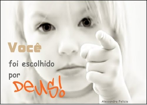 OS ESCOLHIDOS