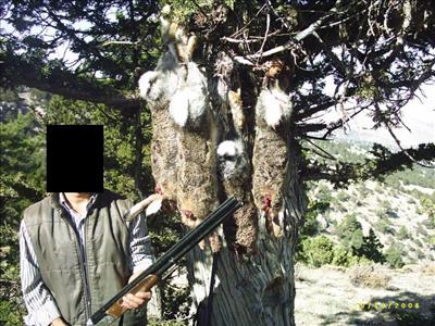 Nasıl Bir Avcısın?