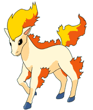 ponyta