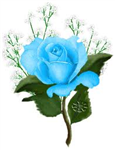 Envoie Des Roses