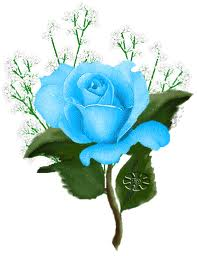 Rose bleue