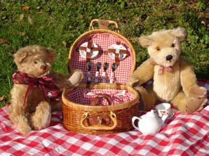 Teddy Bears on a Picnik