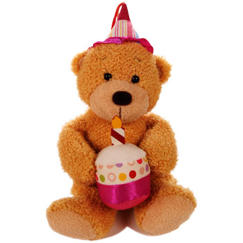 Birthday Teddy Bear