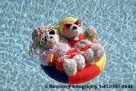 Teddy Bears in a Swimming Pool