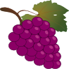 bunch of grapes