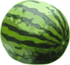 watermellon