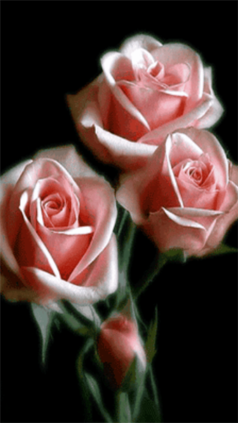 love4