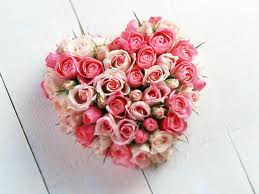 have a nice day