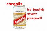 Carapils