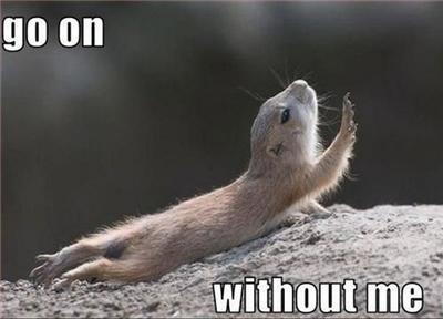 Go on without me