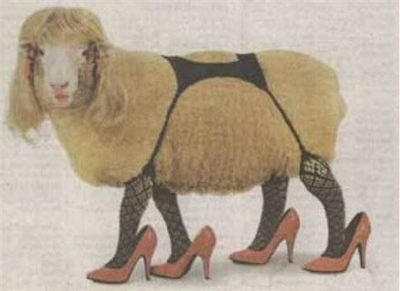خروف