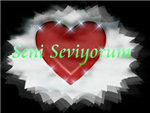 Seni Seviyorum