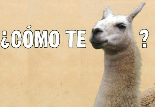 Como Te Llamas?