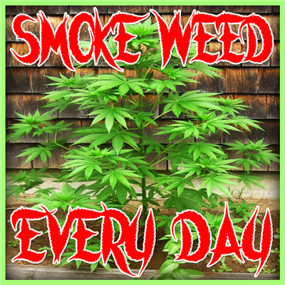 SMOKE WEED EVERY DAY