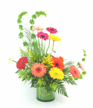 Colorful Gerberas for making you happy