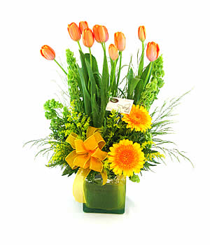 Charming tulips for a charming person