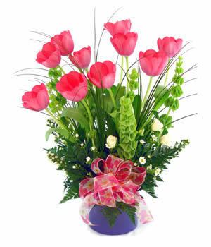 Beautiful Tulips