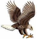 Kartal
