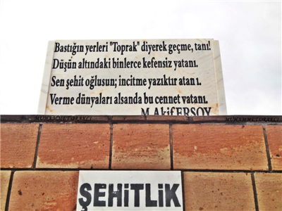Ahlat Gönüllüleri -9