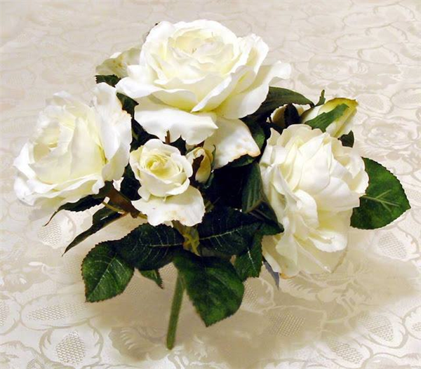 white roses