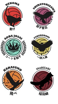 Hangi haikyuu karaterisin