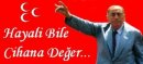 Türk