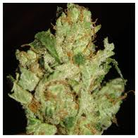 smoke me