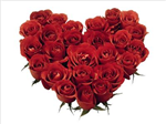 Happy Valentine's Day