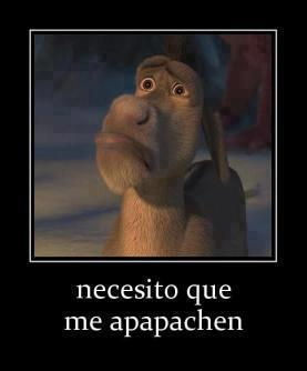 Necesito que me apapachen