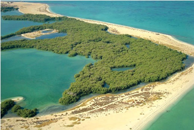 Bu Tinah Shoals
