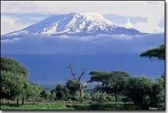 Kilimanjaro