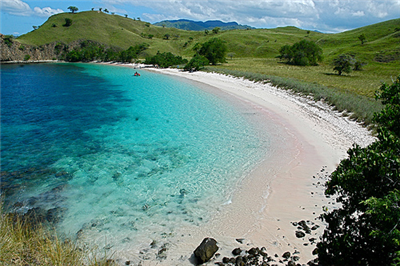 Komodo
