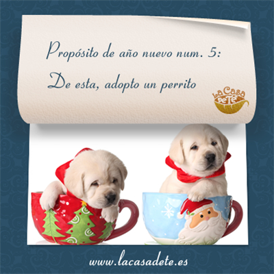 Propósito núm. 5