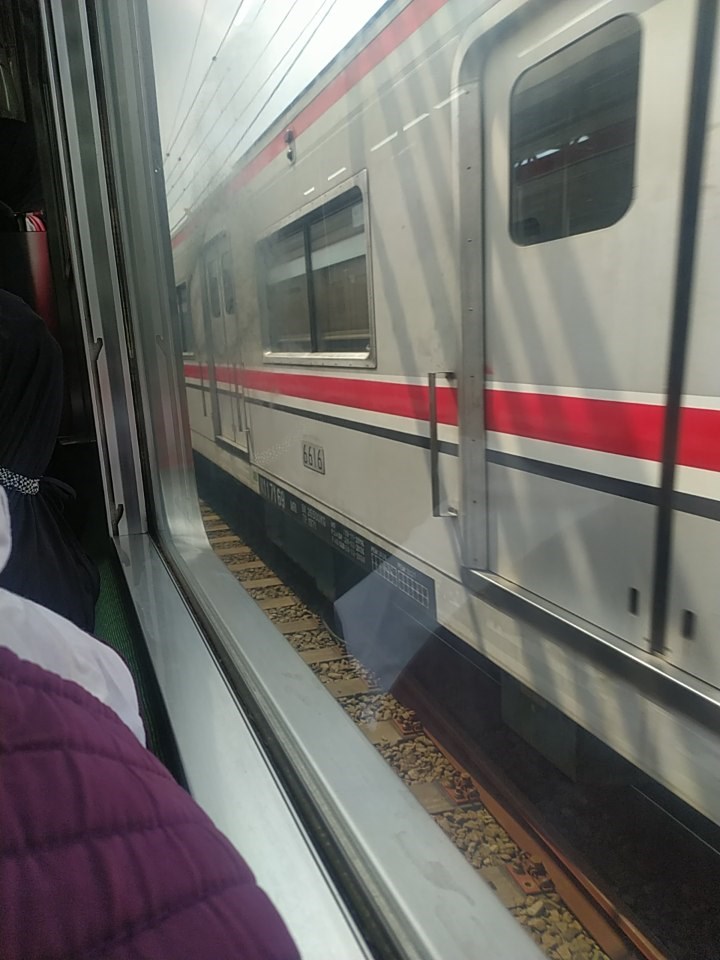 Which train are you (krl edition)