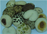 Elit Profiterol
