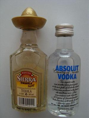 Alkol Testi 