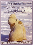 Calins