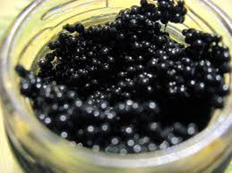 Caviar