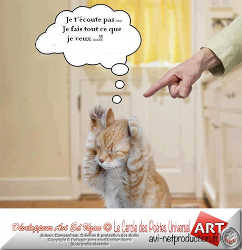 Le Cercle des Poètes de nos écrits