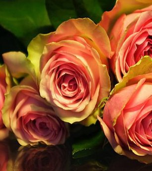  FIORI