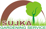 Our Offers