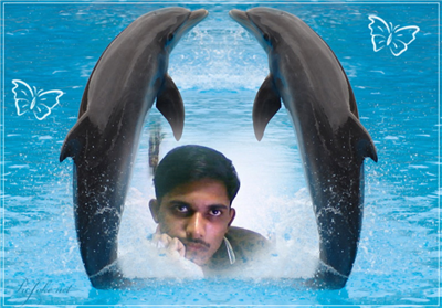 sakoon e qalb
