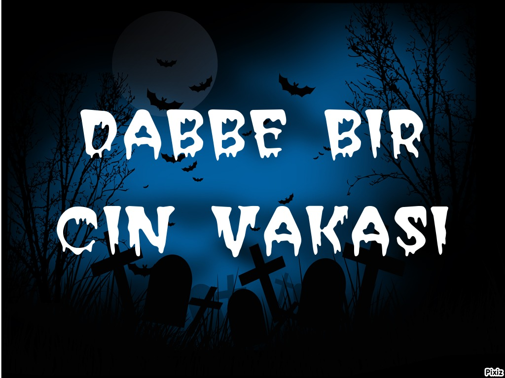 Hangi Dabbe Karkterisin