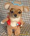 Cute Animals