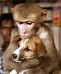 True Love And Friendship