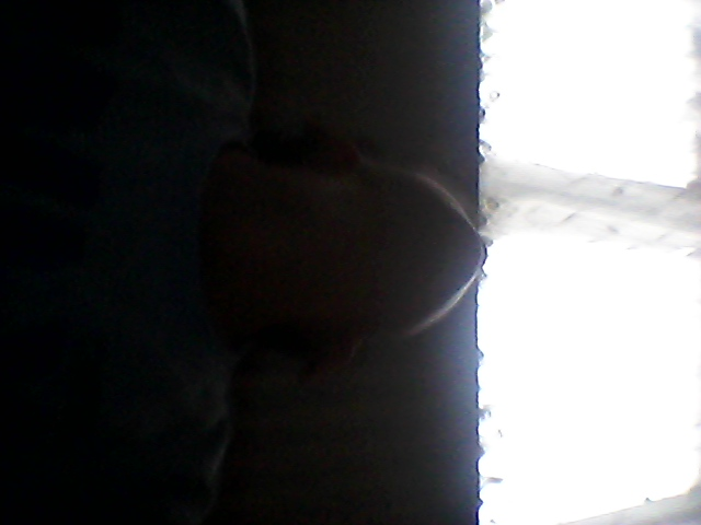 Hangi Futbolcusun  #