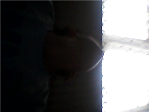 Hangi Futbolcusun  #