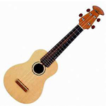 Test Robel