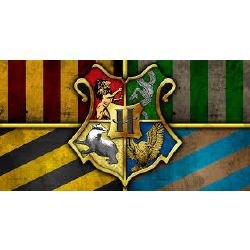 Que Personaje De Harry Potter Eres?